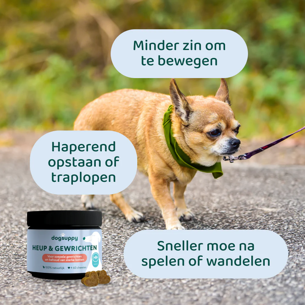 Productafbeelding 3