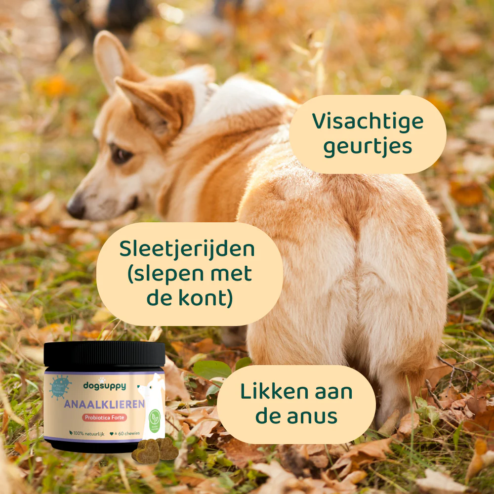 Productafbeelding 5