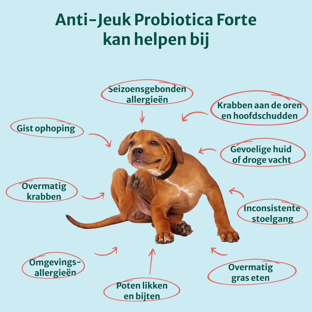 Productafbeelding 3