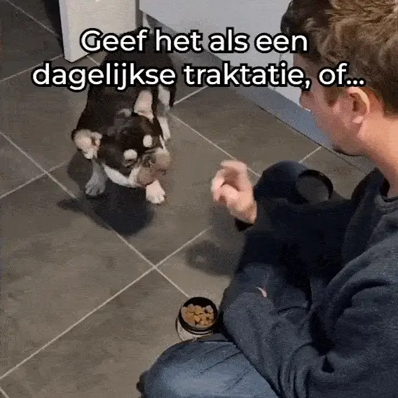 Productafbeelding 16