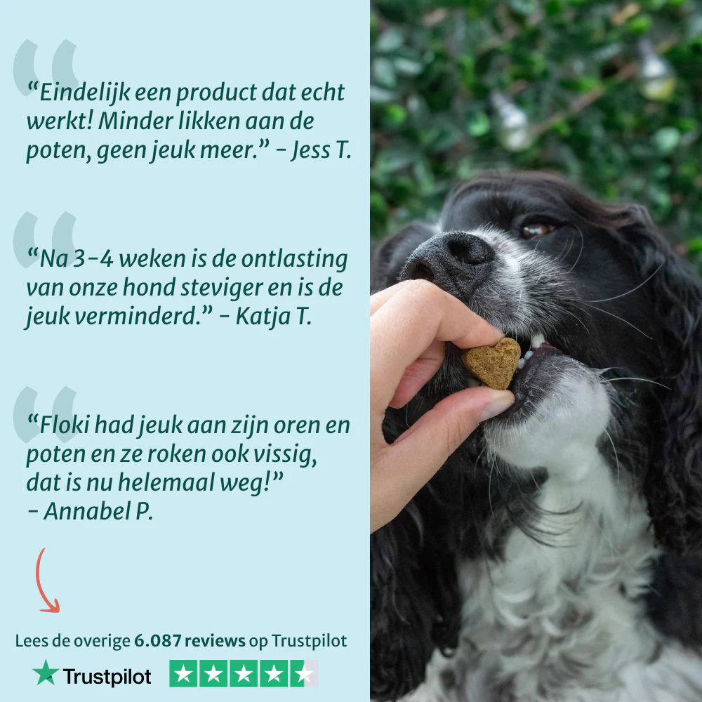 Productafbeelding 5