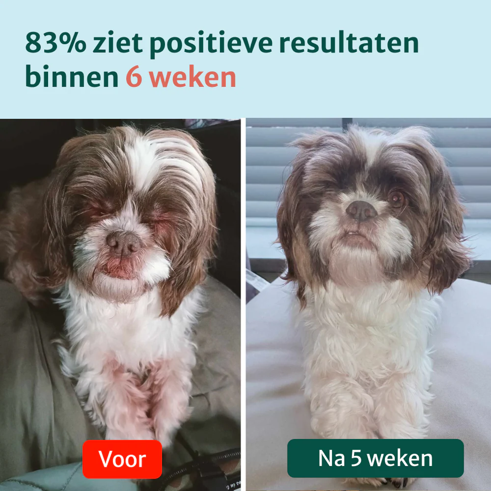 Productafbeelding 6
