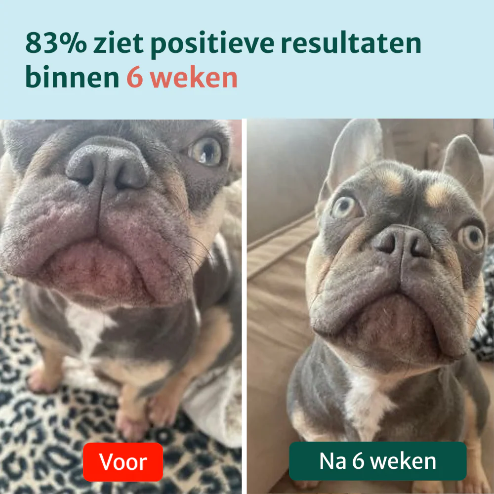 Productafbeelding 7