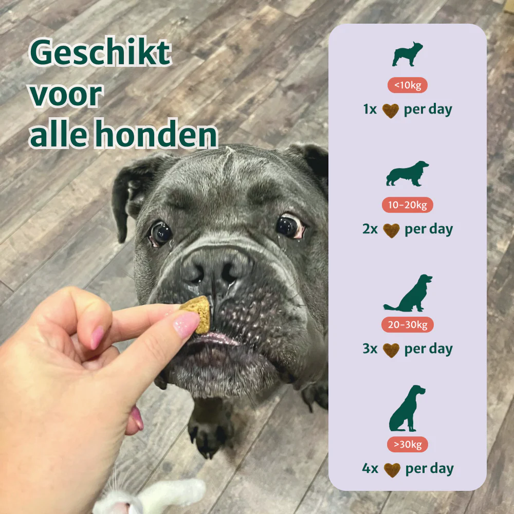 Productafbeelding 5