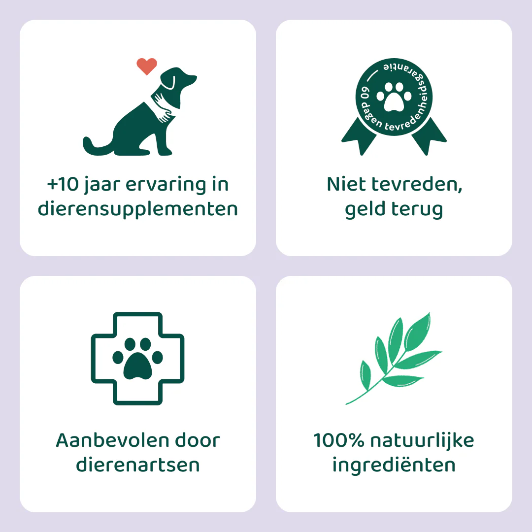 Productafbeelding 6