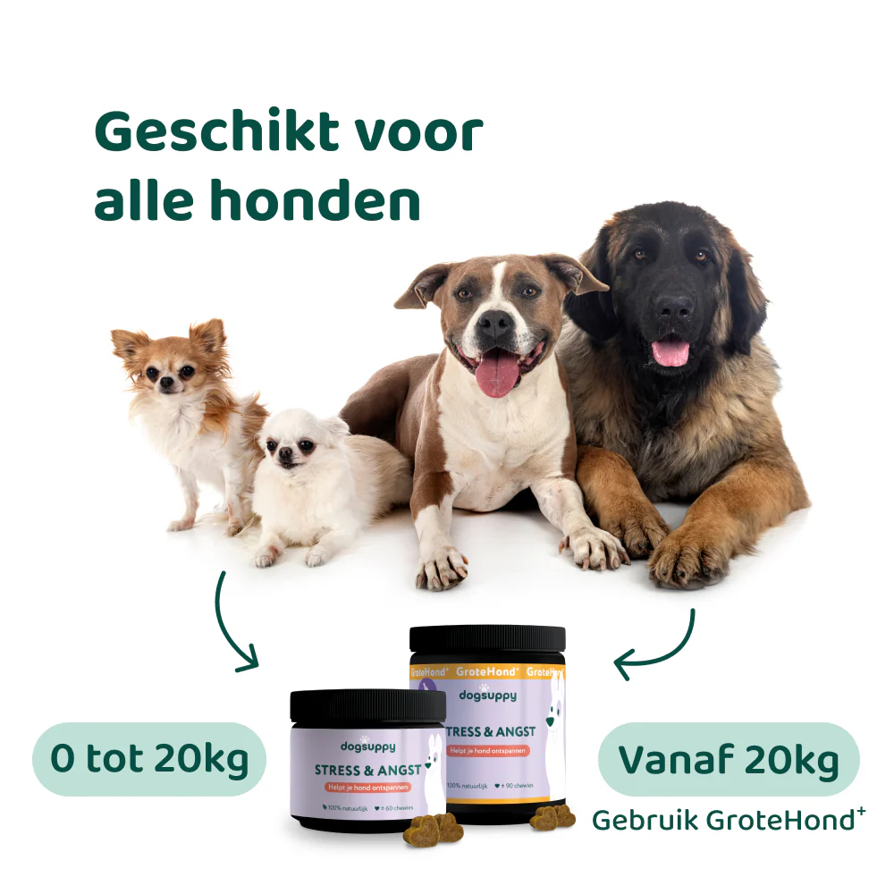 Productafbeelding 7