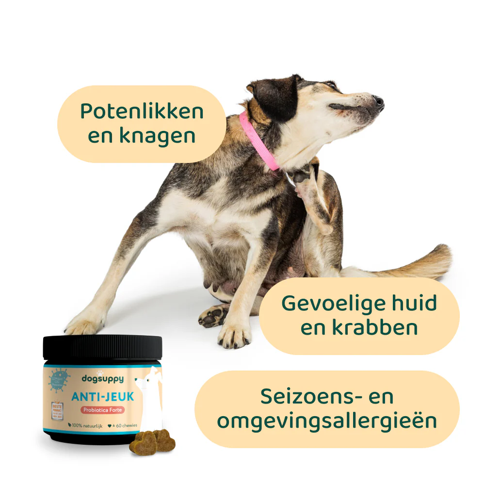 Productafbeelding 3
