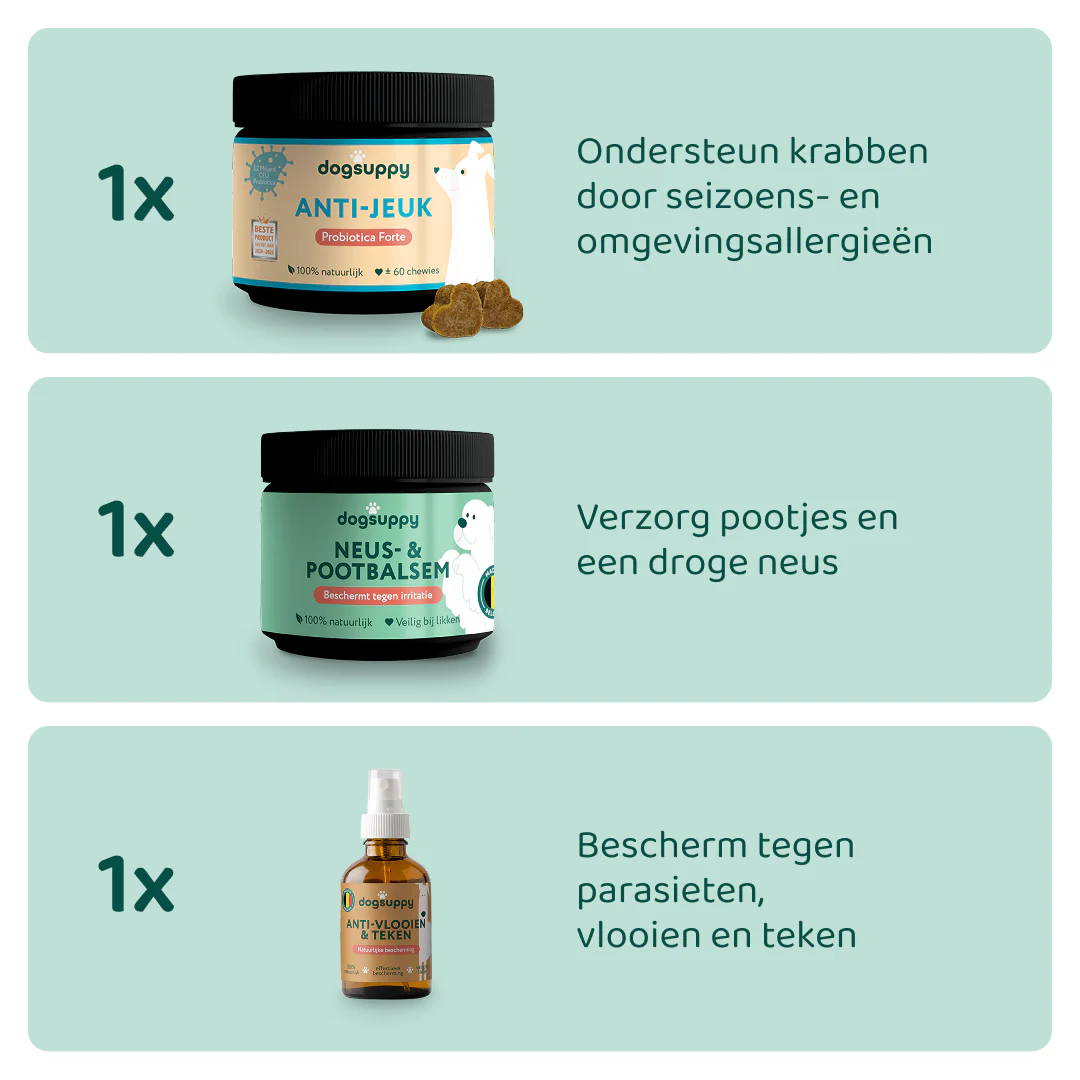 Miniatuur 2