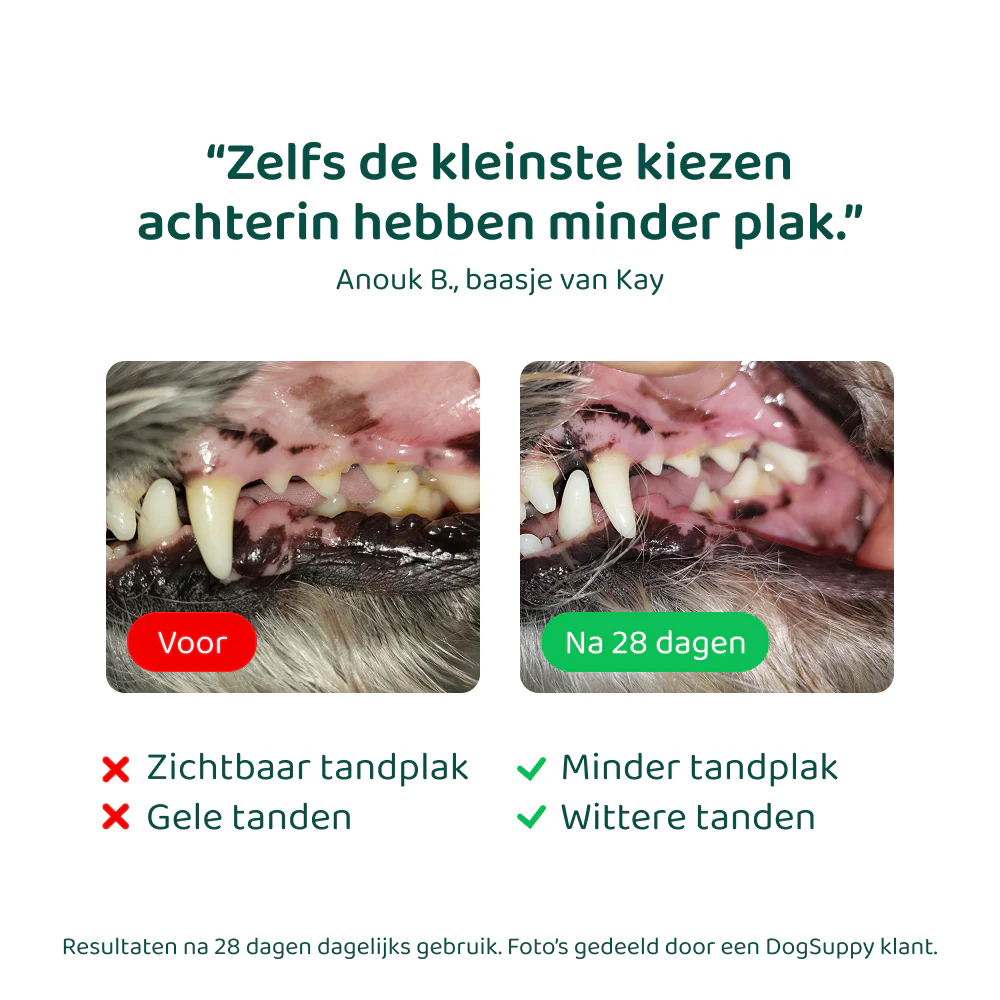 Productafbeelding 6