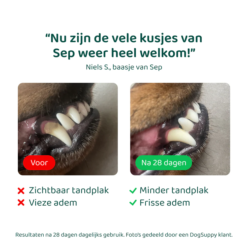 Productafbeelding 8