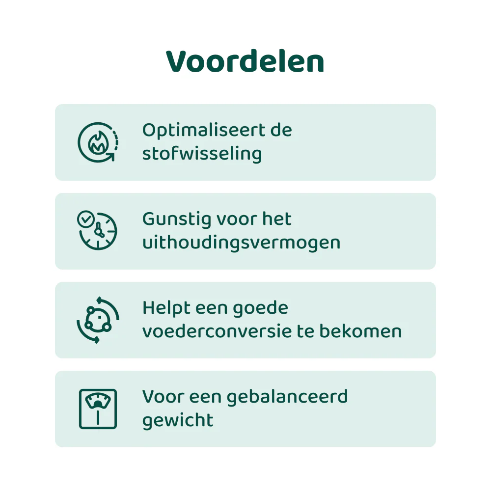 Productafbeelding 3