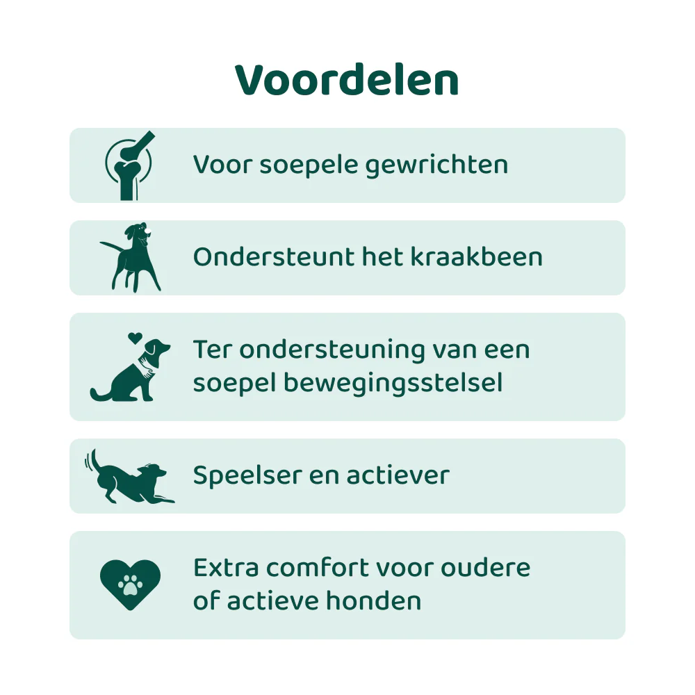 Productafbeelding 3