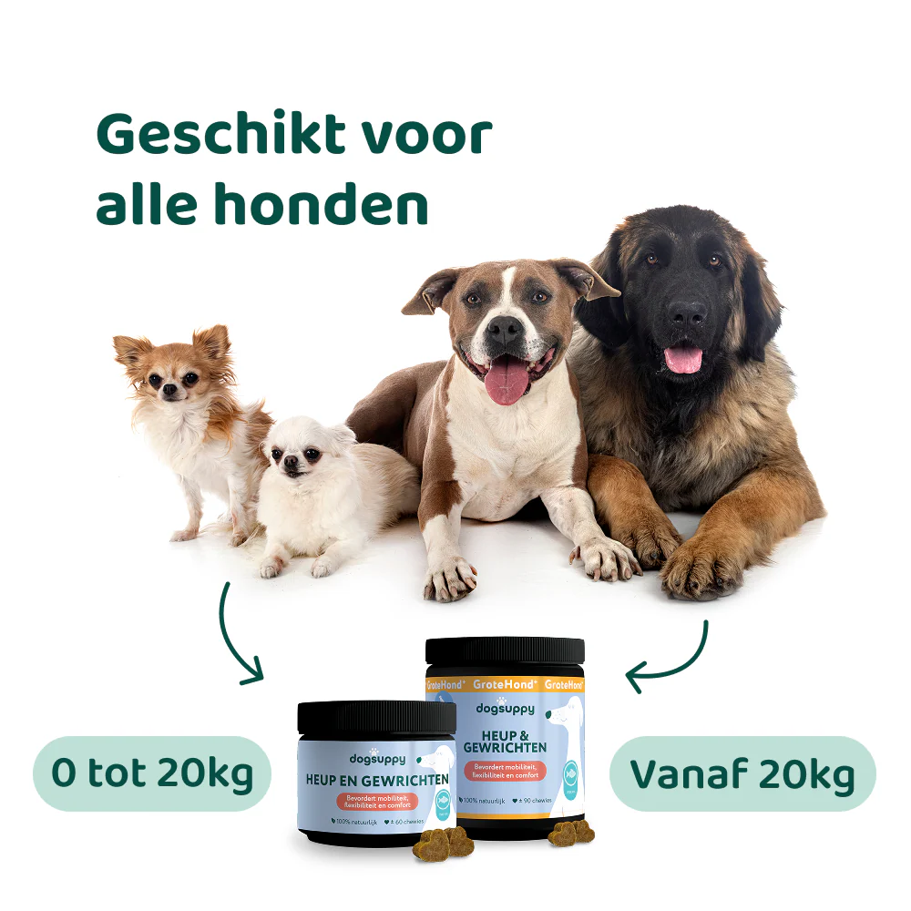 Productafbeelding 6