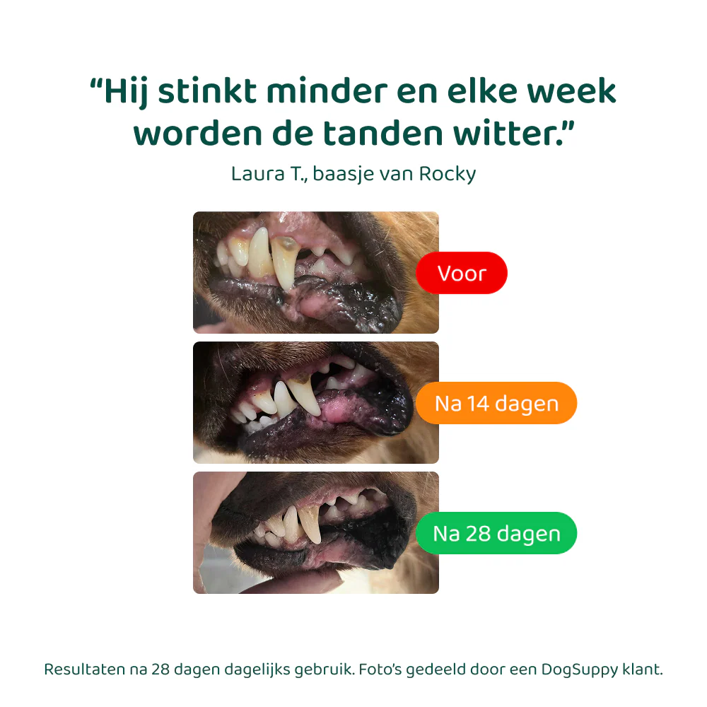 Productafbeelding 6