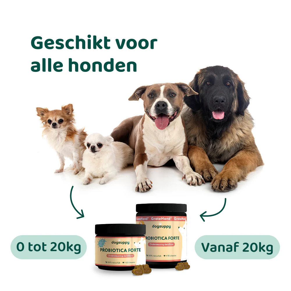 Productafbeelding 5